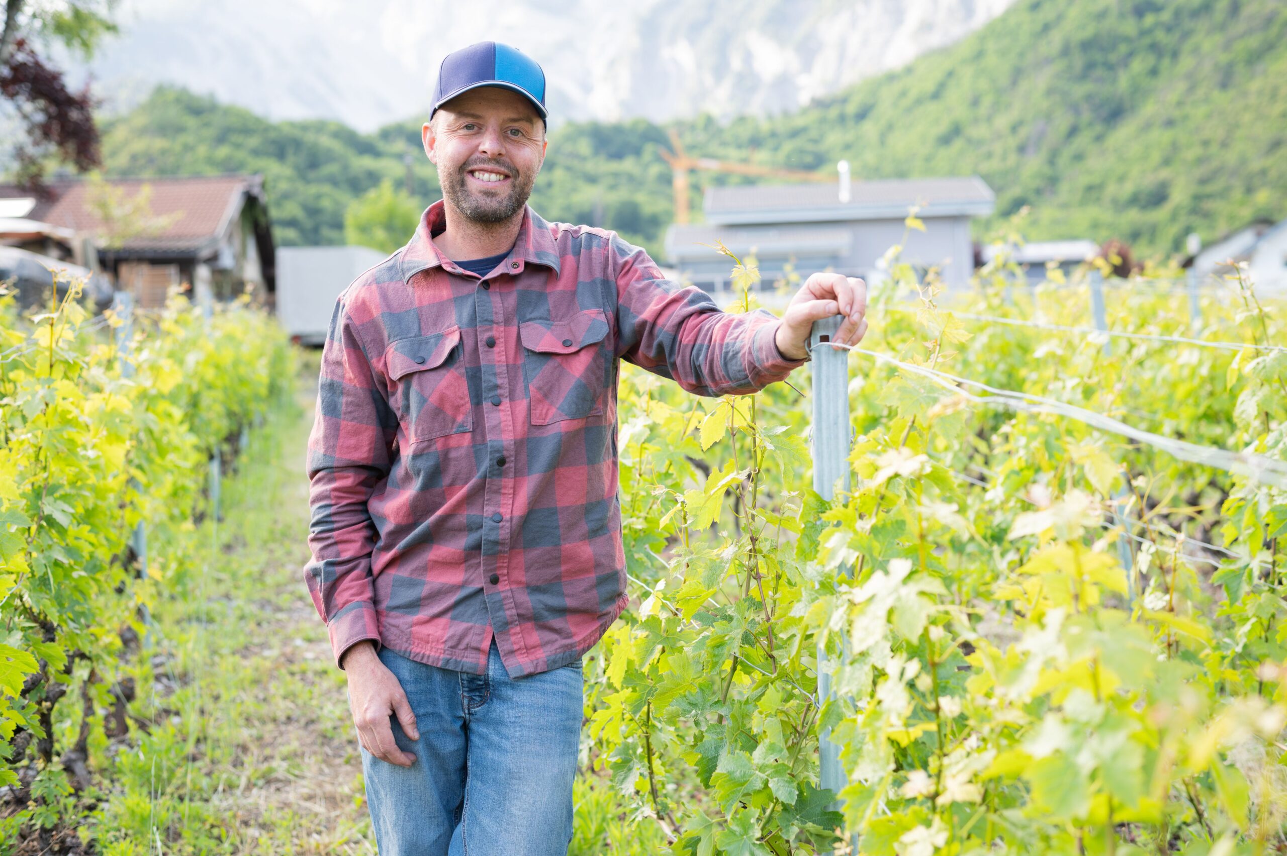 Domaine des Petites Planetes