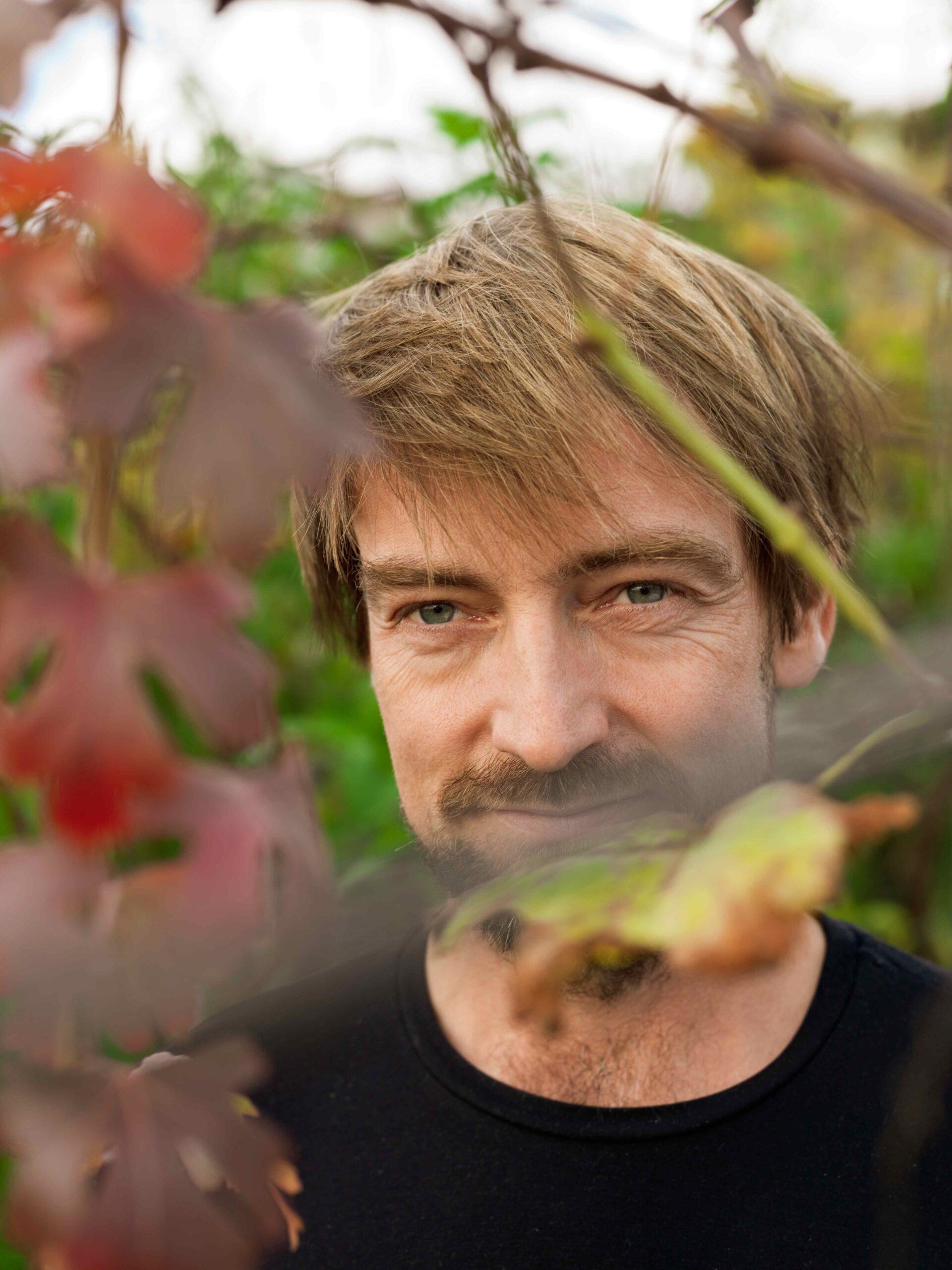 Domaine Les Dryades
